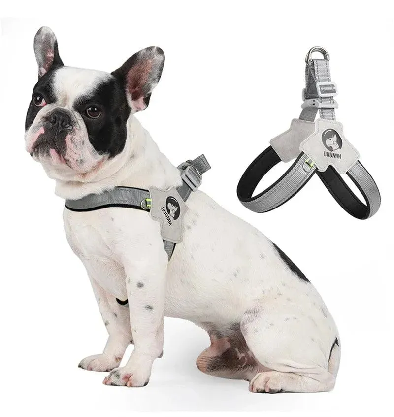 Adjustable Dog Harness for Small Medium Dogs