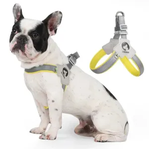 Adjustable Dog Harness for Small Medium Dogs