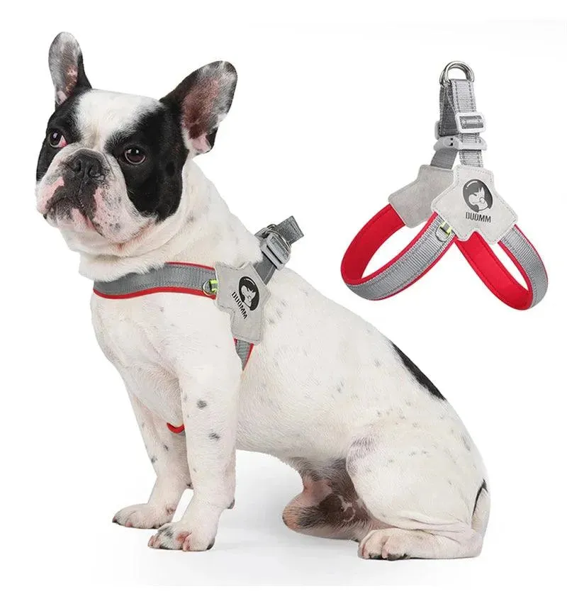 Adjustable Dog Harness for Small Medium Dogs