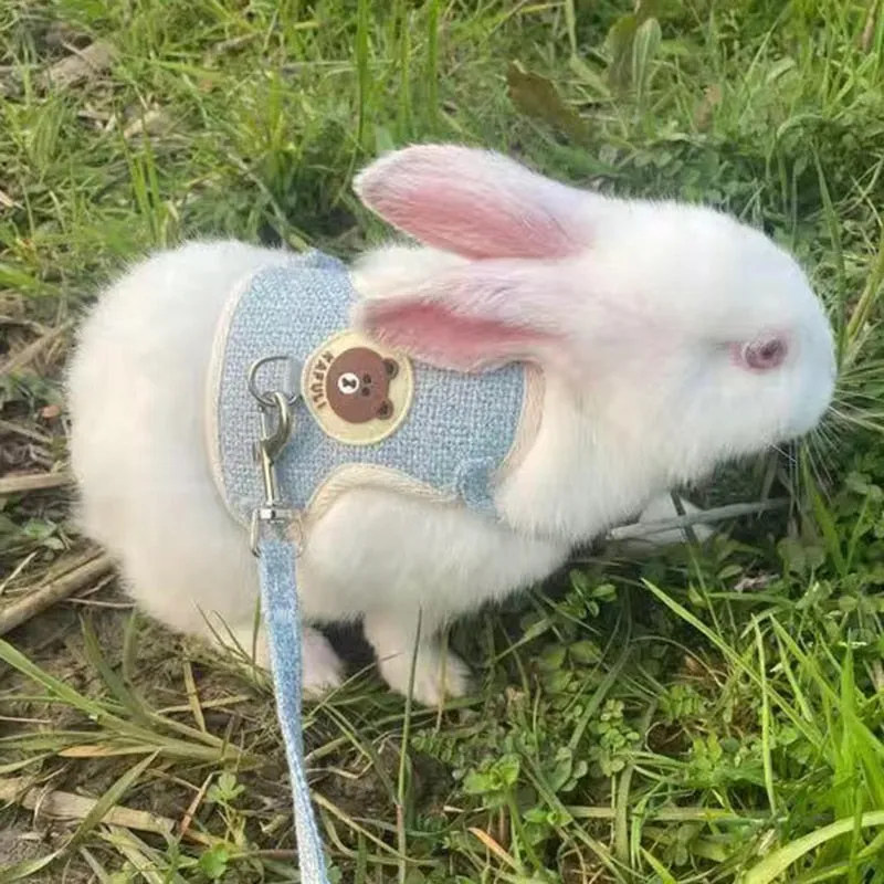 Cute Rabbit Harness and Leash Set