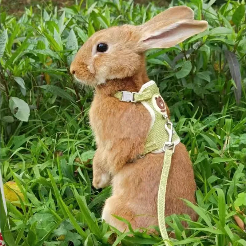 Cute Rabbit Harness and Leash Set