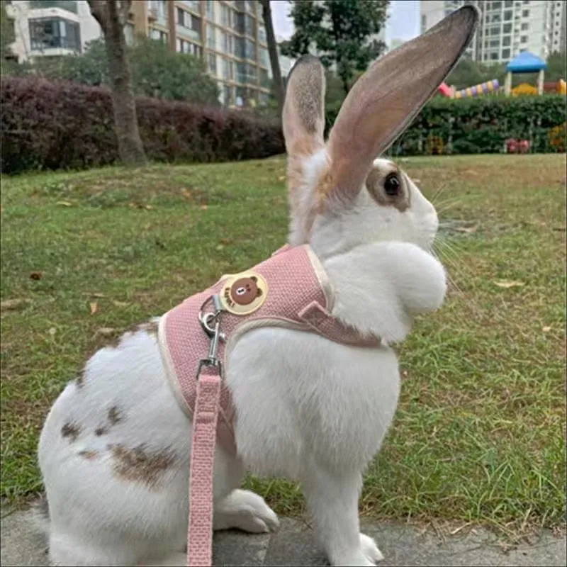 Cute Rabbit Harness and Leash Set