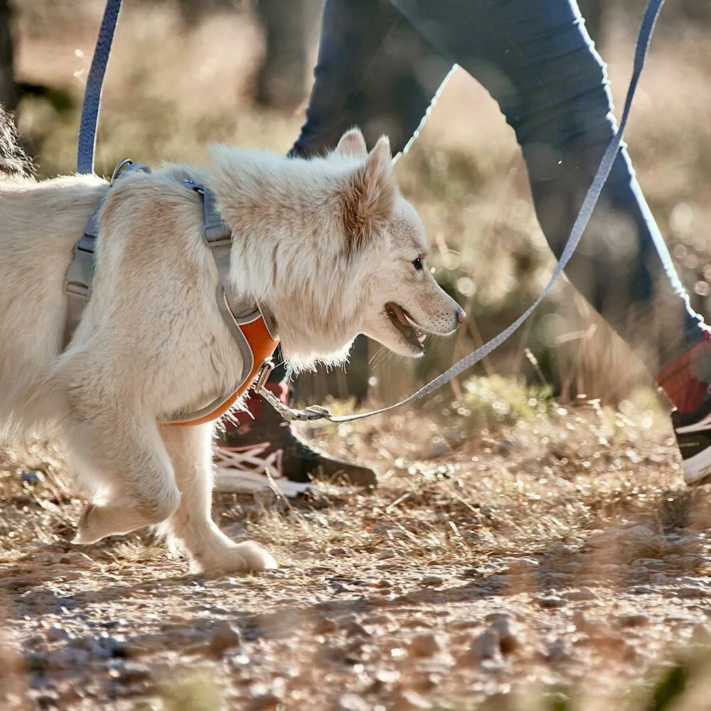 Multilong Leash ECO