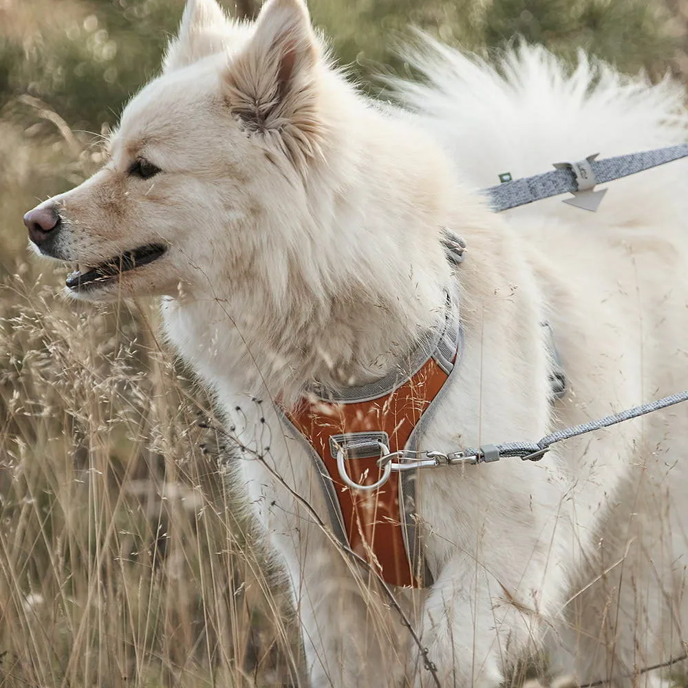 Multilong Leash ECO