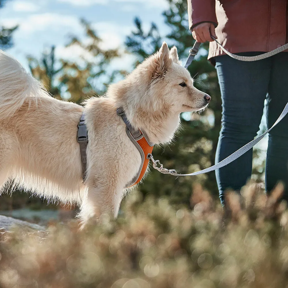 Multilong Leash ECO