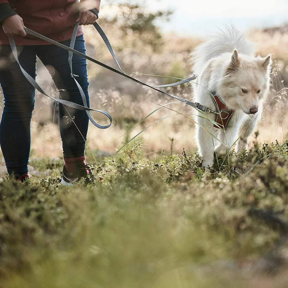 Multilong Leash ECO