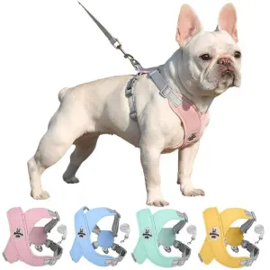 X Shaped Dog Harness Vest Set